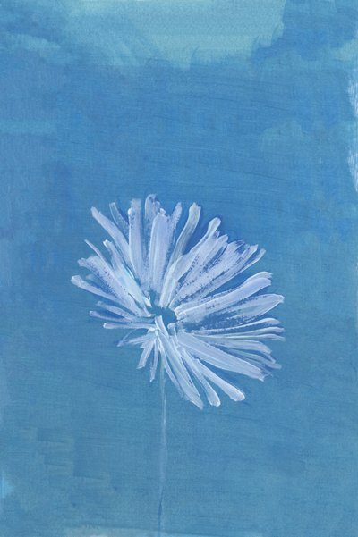 Fleur bleue sereine - cartissi