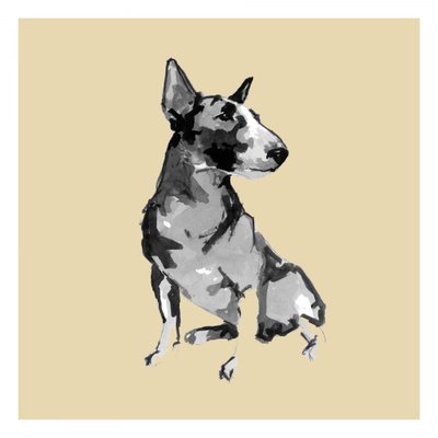 Bull Terrier assis - cartissi