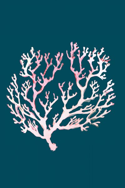 Corail rose pâle - cartissi