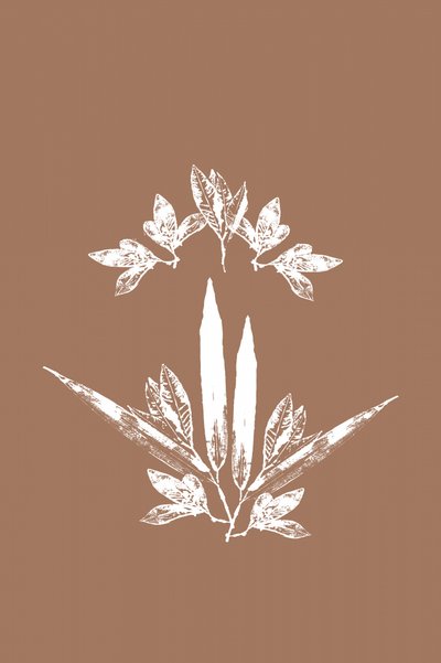 Feuilles botaniques stylisées - cartissi