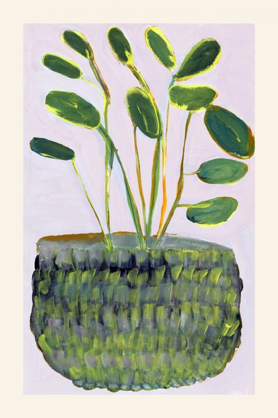 Plante en pot aux couleurs vives - cartissi