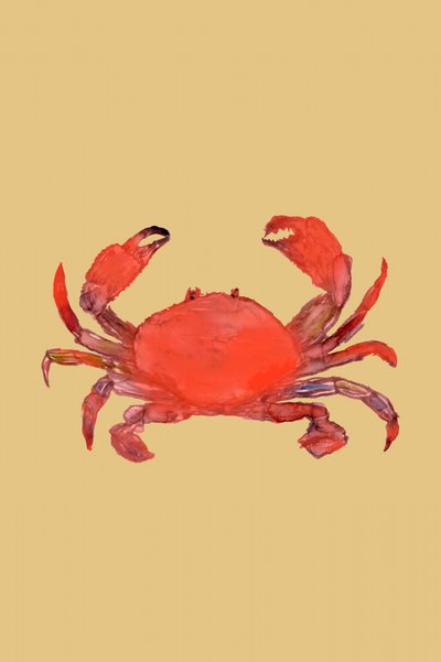Crabe rouge vif - cartissi