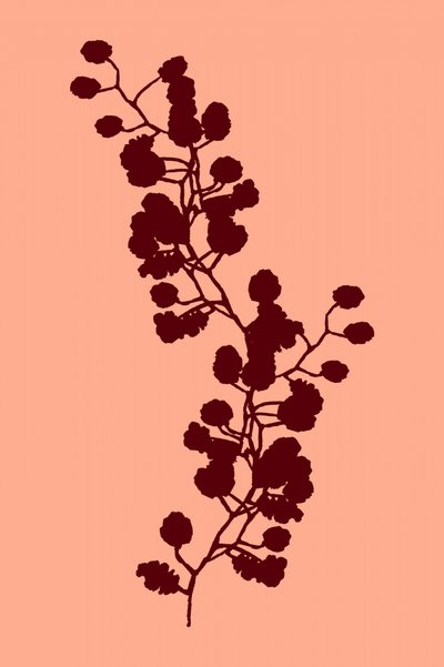 Une silhouette botanique chaleureuse - cartissi