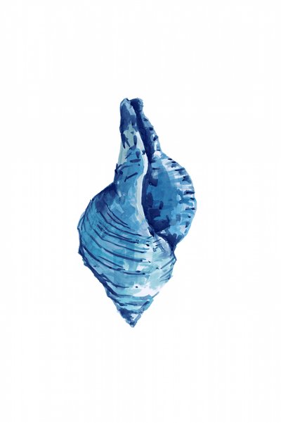 Aquarelle « Coquillage bleu » - cartissi