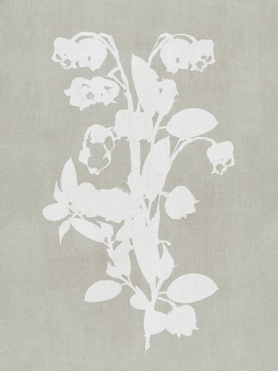 Fleurs botaniques blanches - cartissi