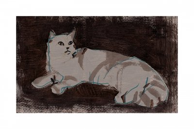 Un chat blanc au repos - cartissi