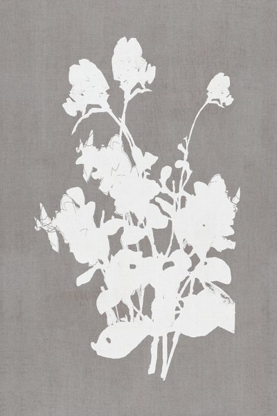 Silhouette florale blanche - cartissi