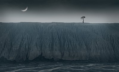 Arbre solitaire, croissant de lune - chenyi wang