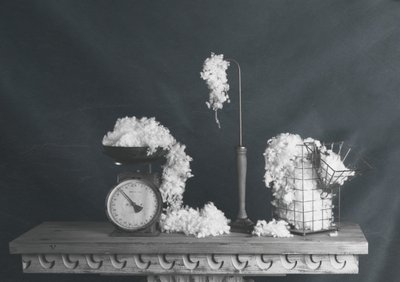 Nature morte vintage en coton - chenyi wang