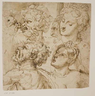 Études pour les têtes de trois satyres, un vieil homme et deux femmes - dall