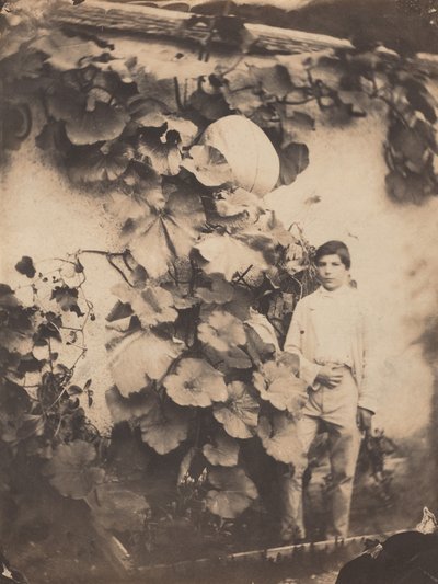 Garçon avec une vigne de citrouille,1854 (photo) - freres Varin