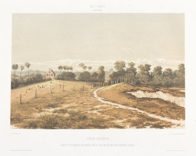 Vue de la synagogue et du cimetière depuis le Cordonpad (Gezigten uit Neerland