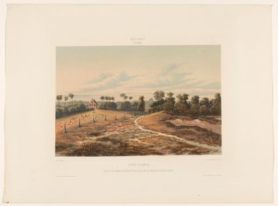Jodensavanne Joden Savannah. Vue sur la synagogue et le cimetière du côté du Cordonpad militaire - jonkheer Jacob Eduard van Heemskerck