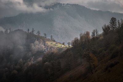 La sérénité des montagnes brumeuses - nima.zadshir