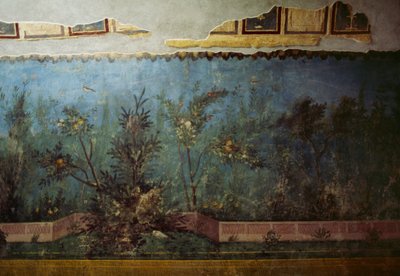 Fresque représentant un jardin avec des arbres et des oiseaux, de la Maison de Livie sur la colline du Palatin, Rome, Italie. Civilisation romaine - Unbekannt Unbekannt