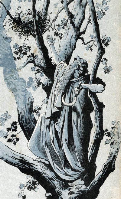 Un druide gaulois, grimpant dans un chêne pour cueillir du gui avec sa serpe, découvre une petite fille. dans « La France, son histoire racontée par G. Montorgueil, illustrée par Job » 1896. Collection privée. - pseudonym for Onfray de Breville Jacques Job