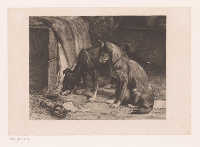 Deux chiens près d
