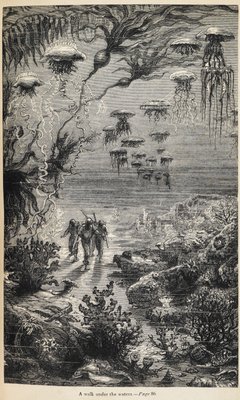 Henri_Theophile_Hildibrand_-_Illustratio