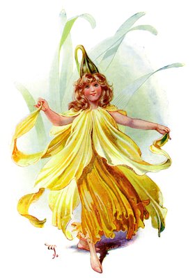 La jonquille, 1899 - Unbekannt