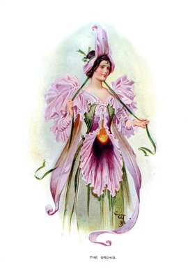 L&39;orchidée, 1899 - Unbekannt