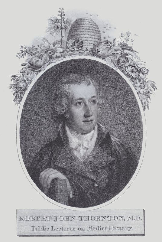 Robert John Thornton - (after) English School