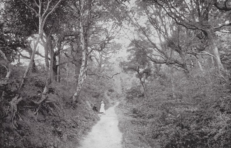 Fairlight Glen - (after) English photographer