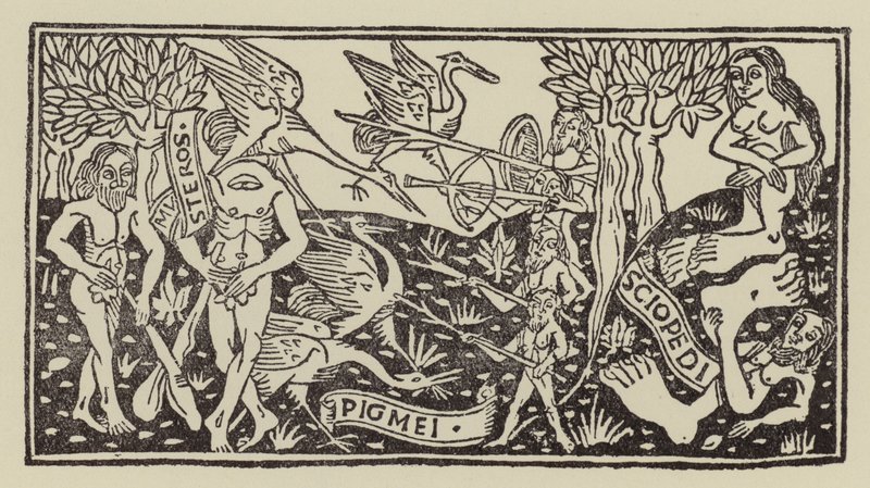 Hommes fabuleux et monstres des Indes - (after) Italian School