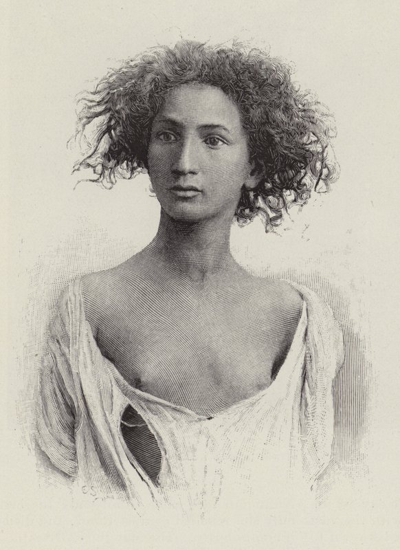 Un Arabe Aurasien - American School