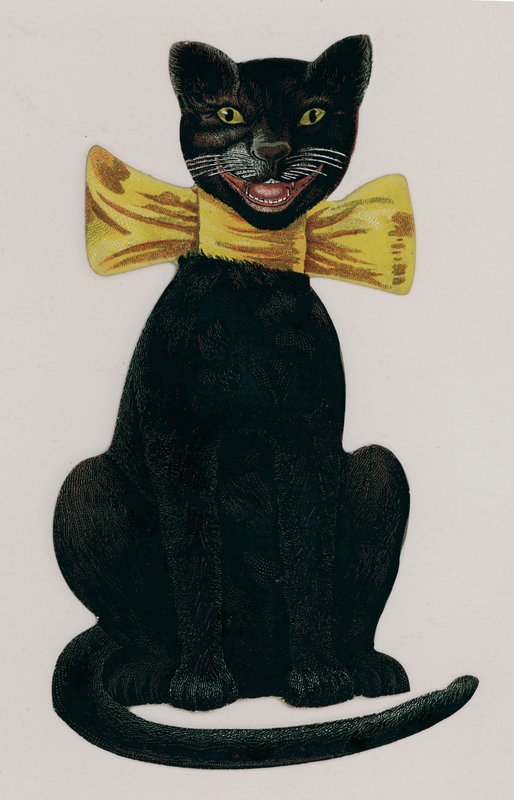 Chat noir portant un nœud jaune - American School