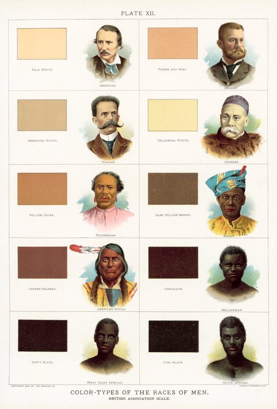 Types de couleurs des races humaines, échelle de l
