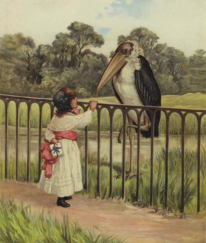 Une jeune fille demandant à un oiseau adjutant son nom - English School