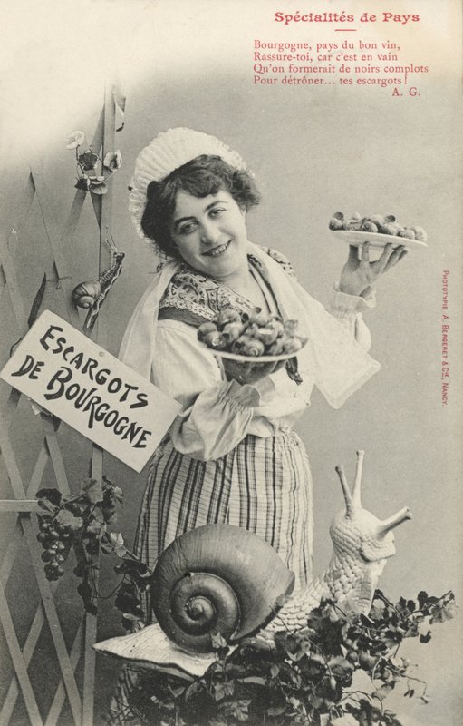 Escargots de Bourgogne - French Photographer
