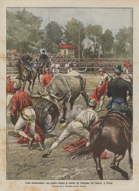 Fêtes caractéristiques, une joute romaine de vaches au vélodrome des Cascine, à Florence - Achille Beltrame