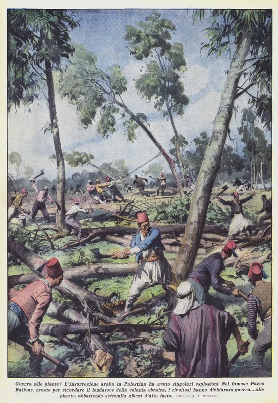 Guerre aux plantes! - Achille Beltrame