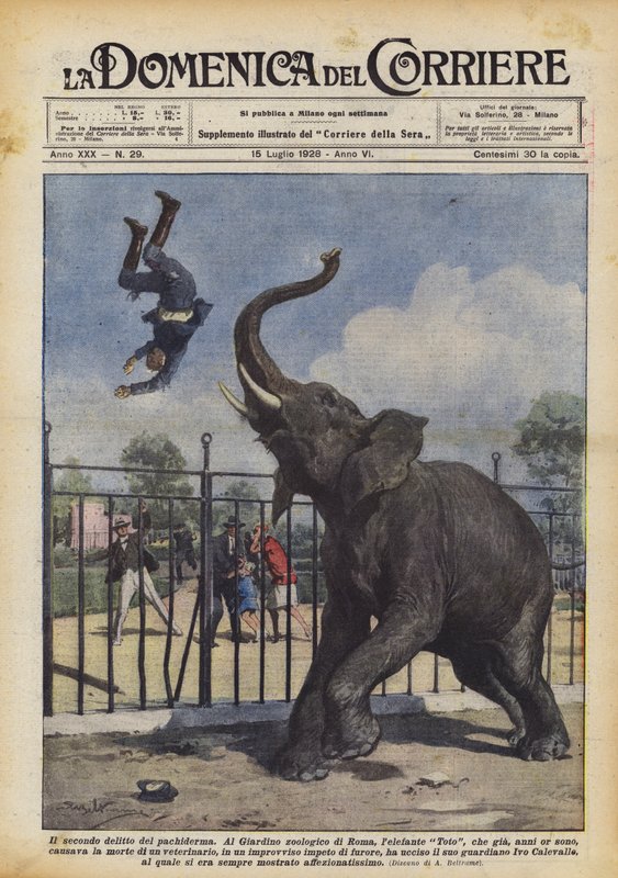 Le deuxième crime du pachyderme - Achille Beltrame