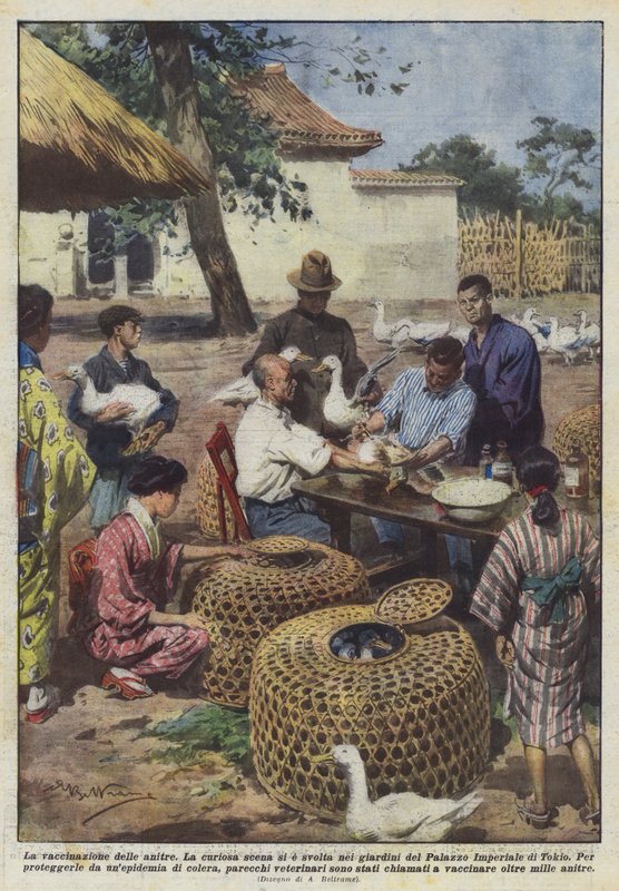 La vaccination des canards - Achille Beltrame