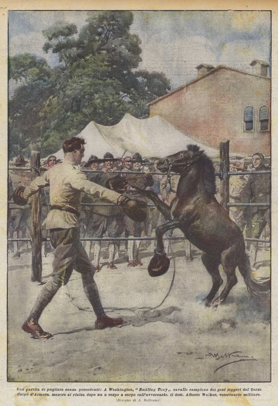 Un match de boxe sans précédent, à Washington, Battling Tony cheval champion des poids - Achille Beltrame