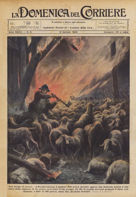 Un massacre de moutons - Achille Beltrame