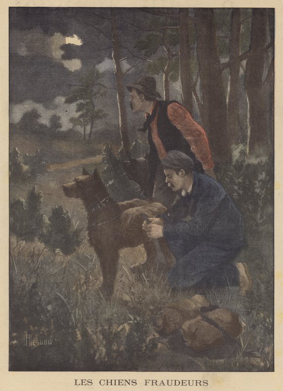 Chiens utilisés par les contrebandiers pour transporter des marchandises de contrebande à travers la frontière - Albert Besnou