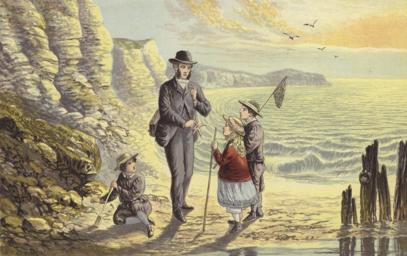Sur le rivage - Alexander Francis Lydon