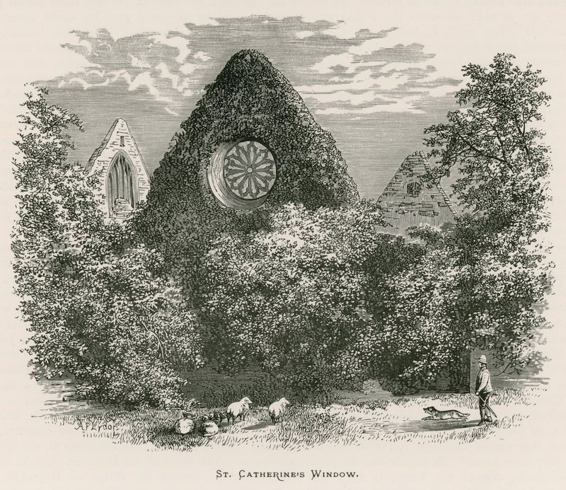 Abbaye de Dryburgh, Fenêtre de Sainte Catherine - Alexander Francis Lydon