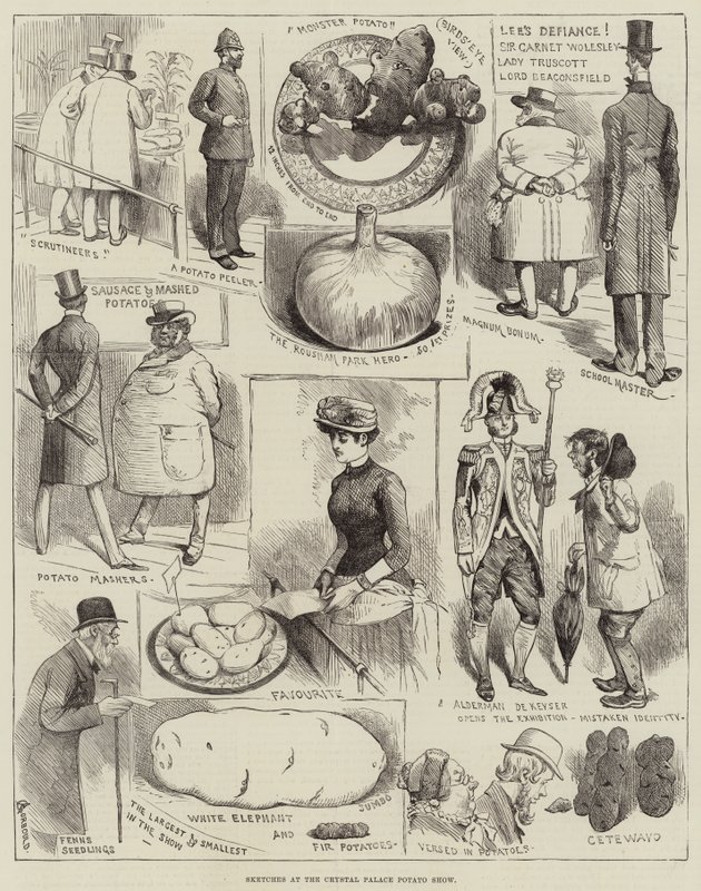 Croquis au Crystal Palace Potato Show - Alfred Courbould