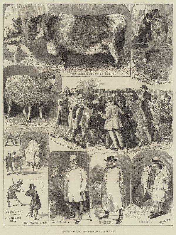 Croquis au salon du bétail du Smithfield Club - Alfred Courbould