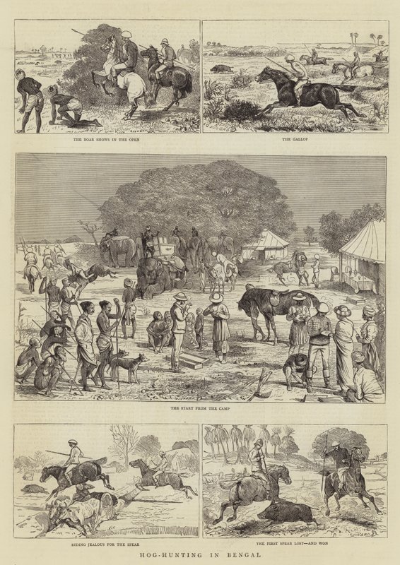 Chasse au sanglier au Bengale - Alfred Chantrey Corbould