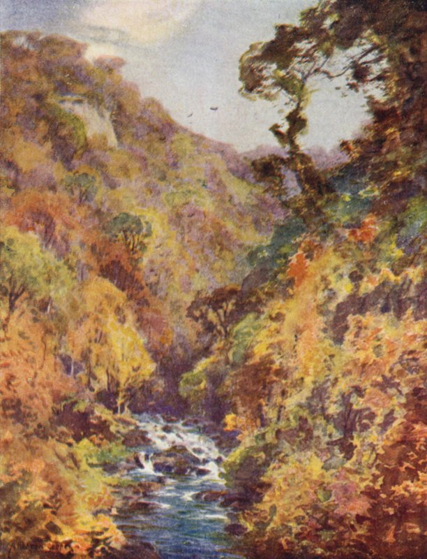 Le Dargle, comté de Wicklow - Alfred Heaton Cooper