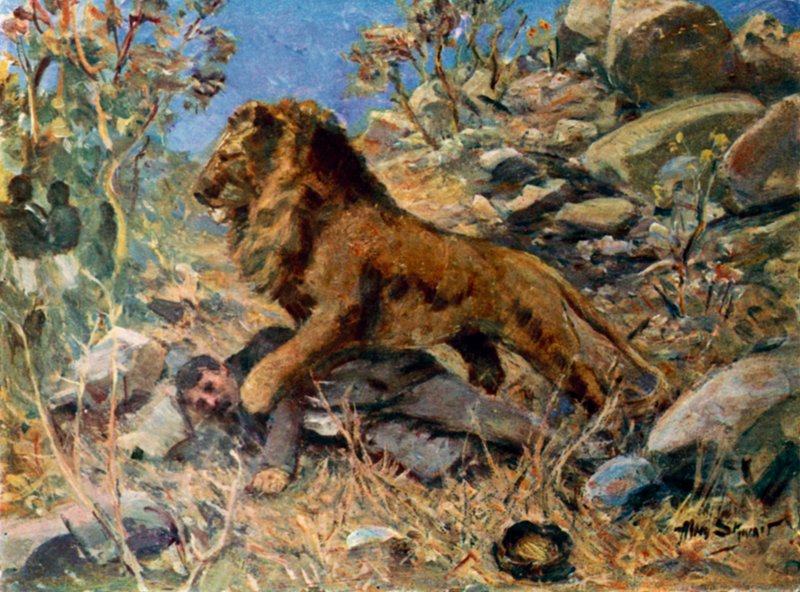 David Livingstone, Livingstone et le lion - Allan (after) Stewart