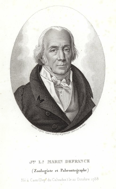 Jacques-Louis Marin de France - Ambroise Tardieu