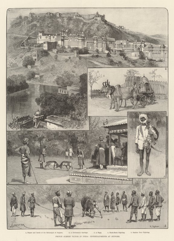 Le Prince Albert Victor en Inde, Divertissements à Jeypore - Amedee Forestier