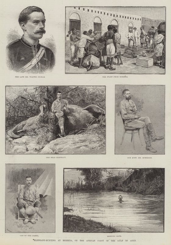 Chasse à l