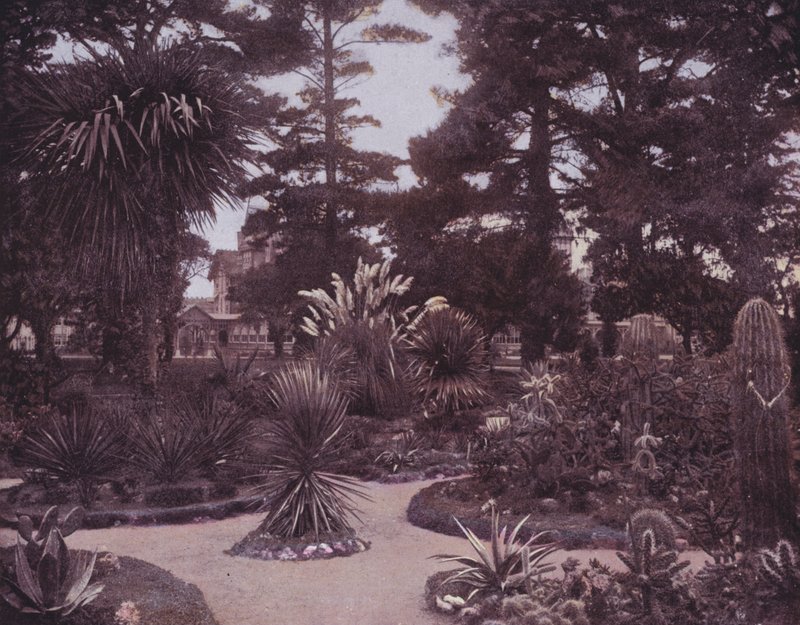 Un jardin de cactus du sud de la Californie - American Photographer (after)